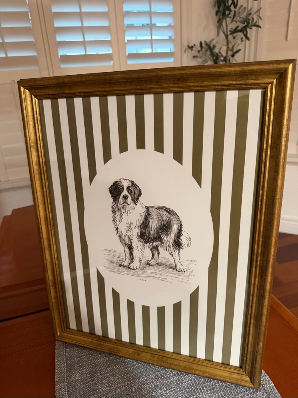 20x16 St Bernard dog portrait “Who is a Good boy?” Green & White Striped Mat